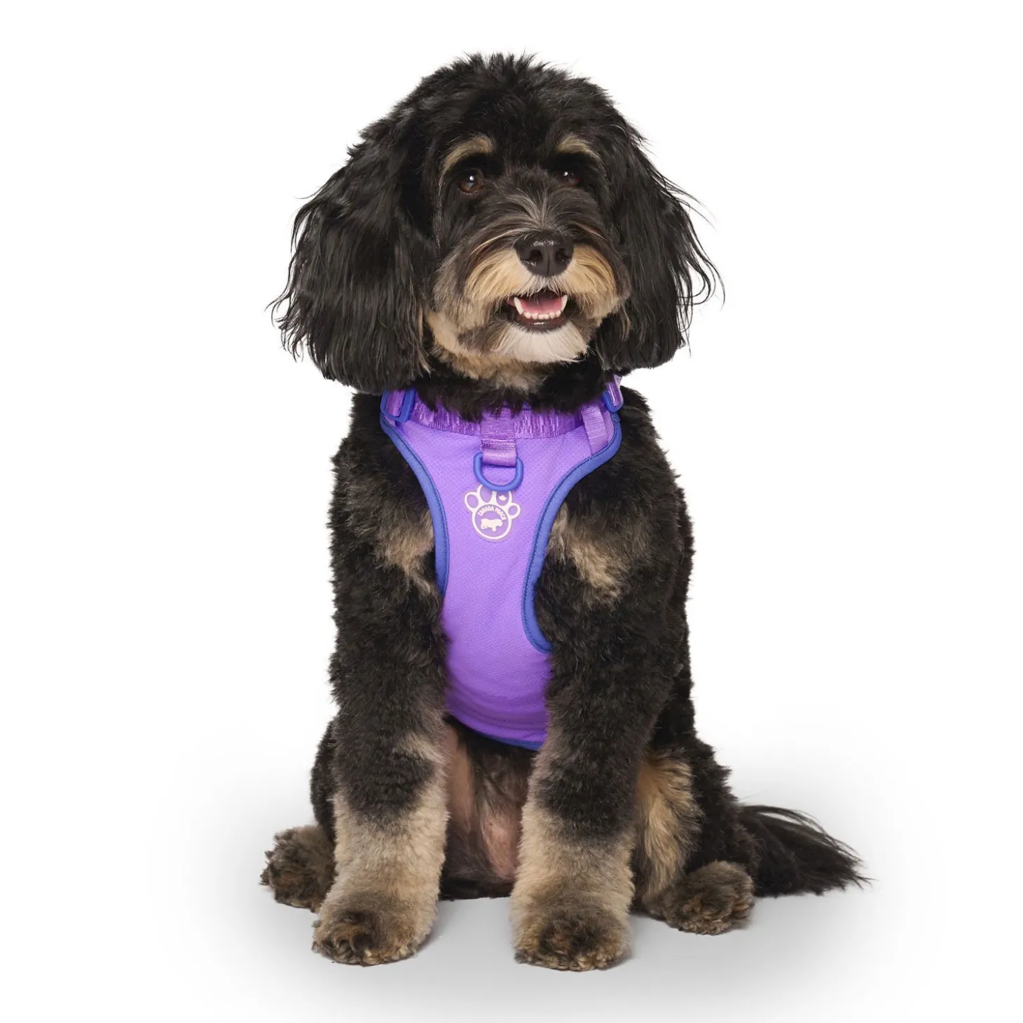 Max Chill Cooling Harness for Dogs
