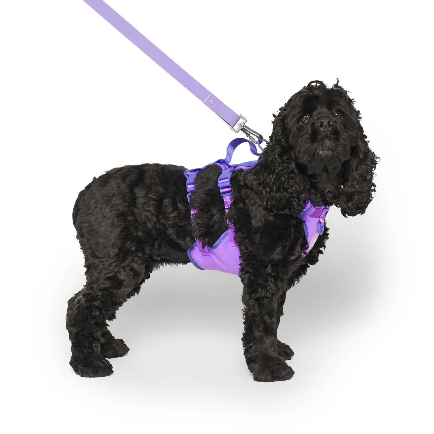 Max Chill Cooling Harness for Dogs
