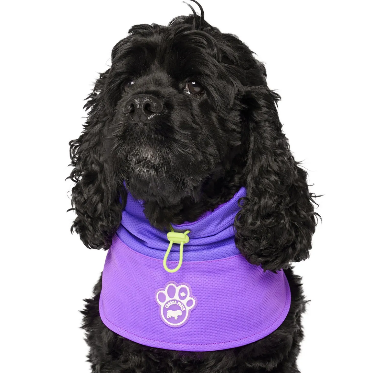 Max Chill Cooling Snood for Dogs