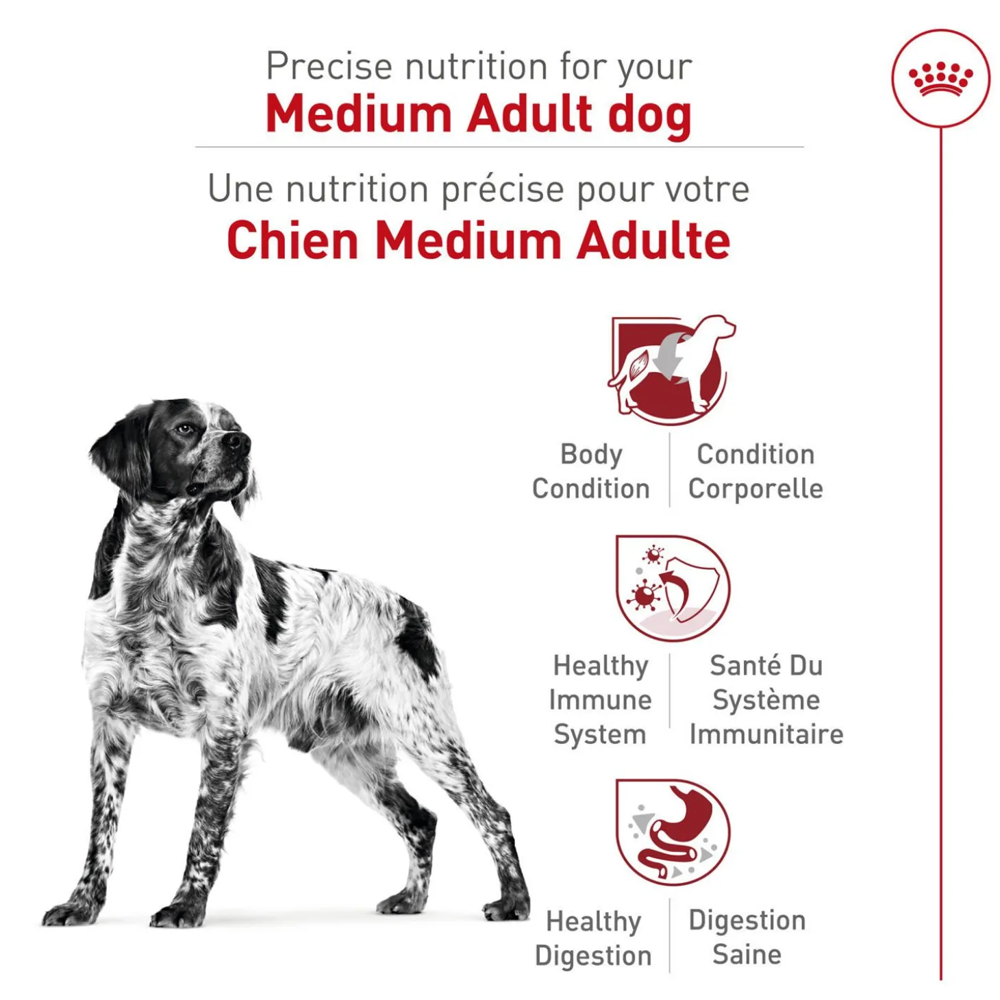 Medium Adult Health Nutrition Formula Dry Dog Food