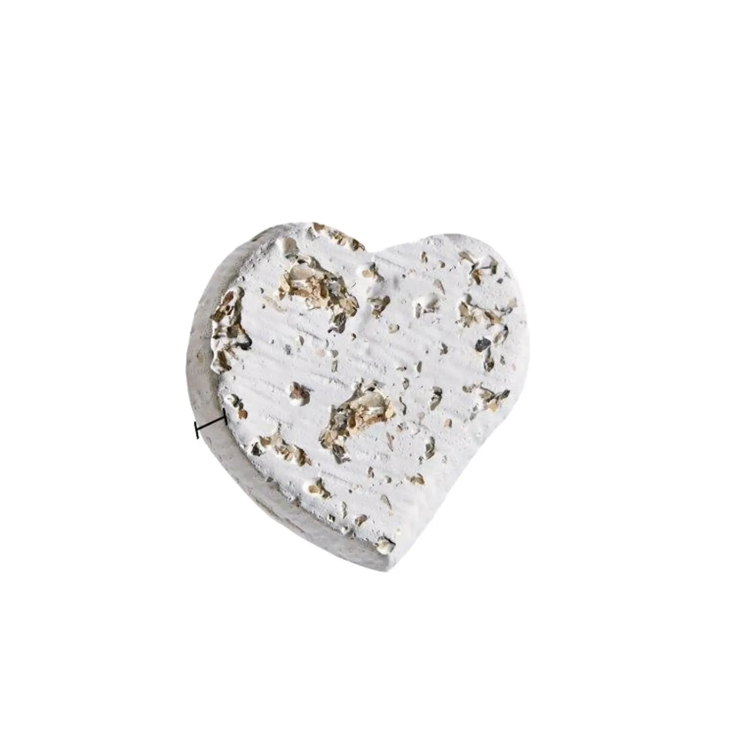 Mineral Block with Oyster Shells