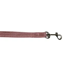 Mini Nylon Leash for Dogs, Dusty Pink