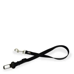 Mini seat belt tether for dogs