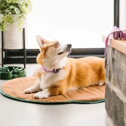 Monstera Slow Feeder for Dogs