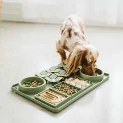 Multi Textured Slow Feeder