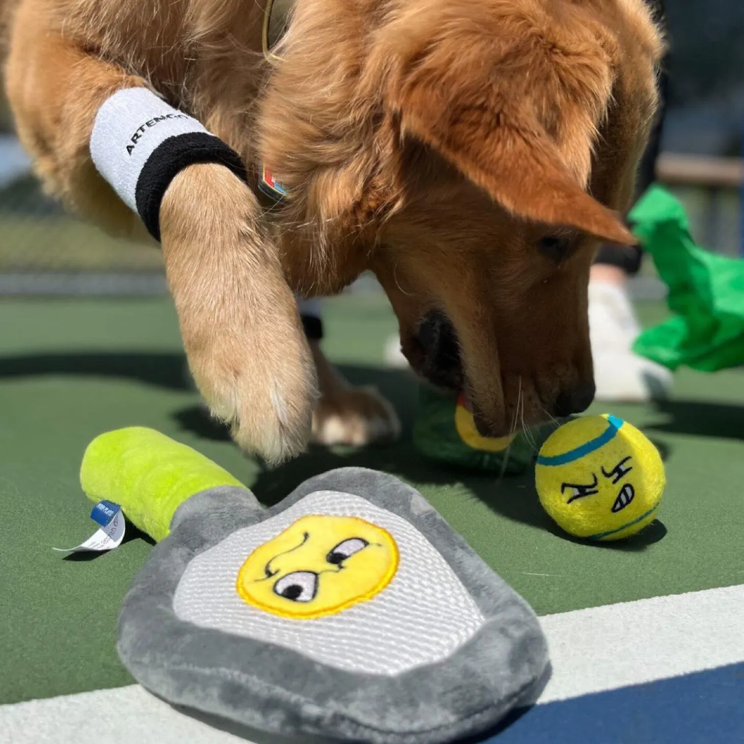 Nadal’s Racket