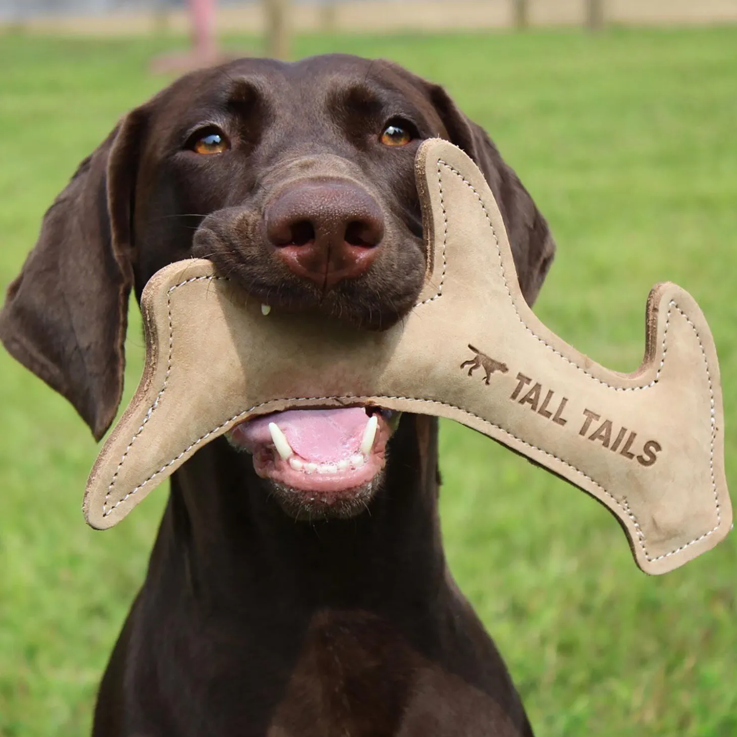 Natural Leather Antler Dog Toy