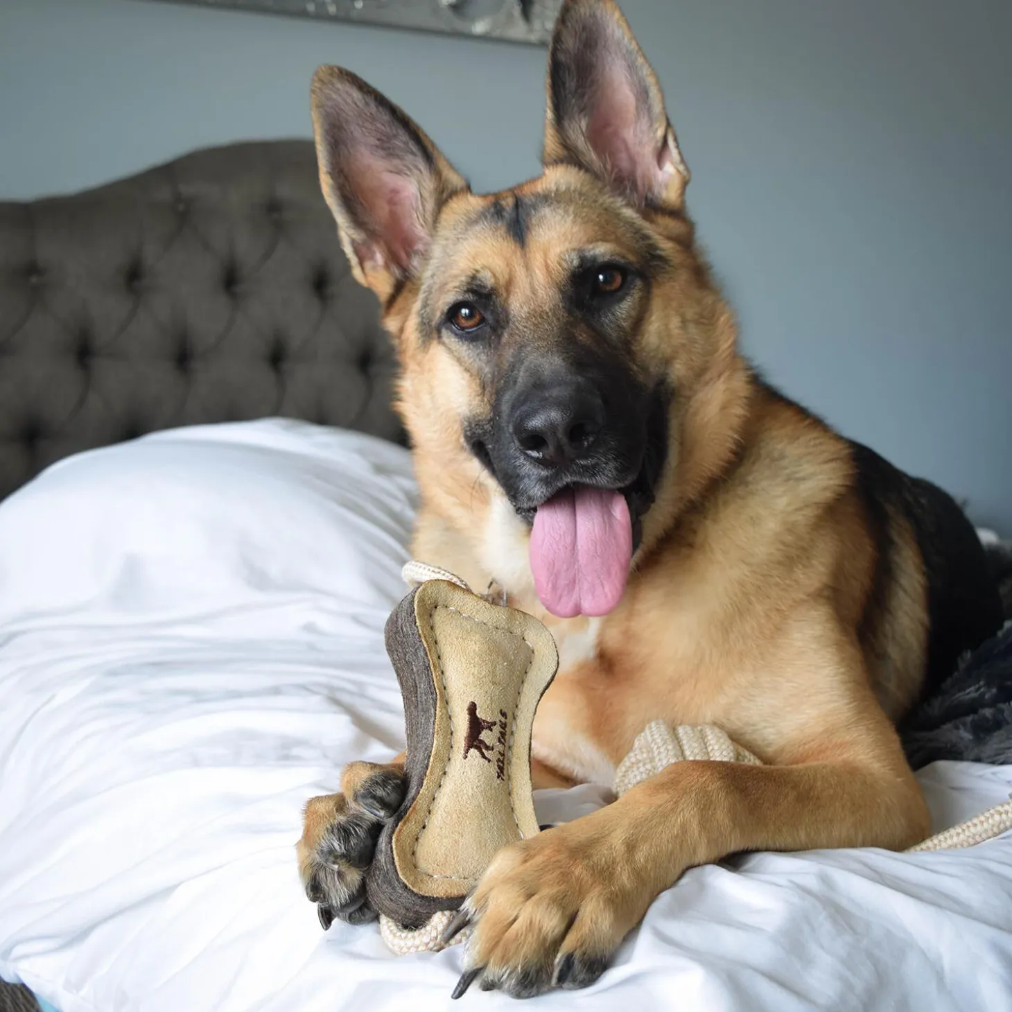 Natural Leather Bone Dog Tug Toy