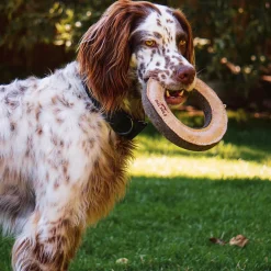 Natural Leather Ring Dog Toy