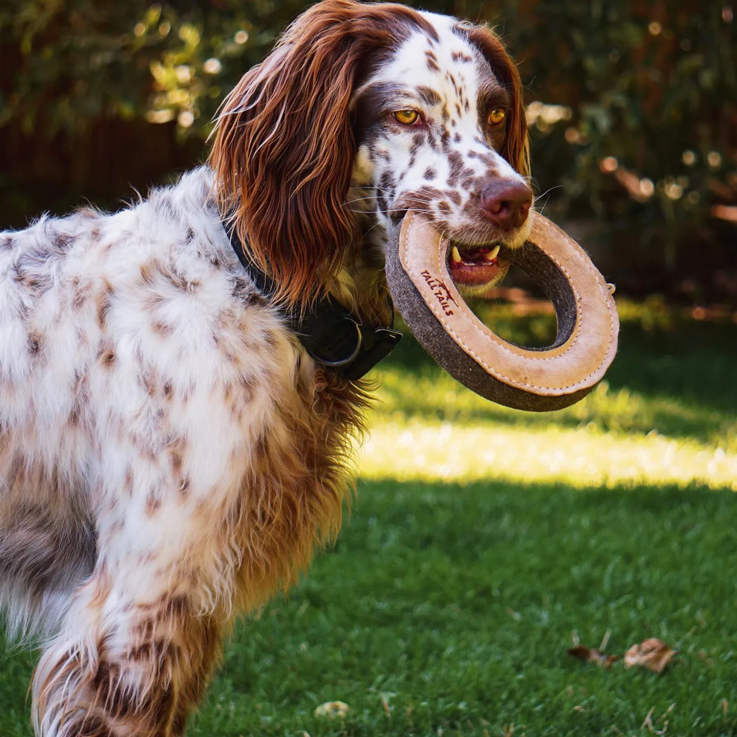 Natural Leather Ring Dog Toy