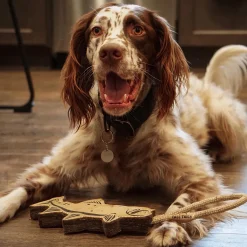 Natural Leather Trout Dog Tug Toy