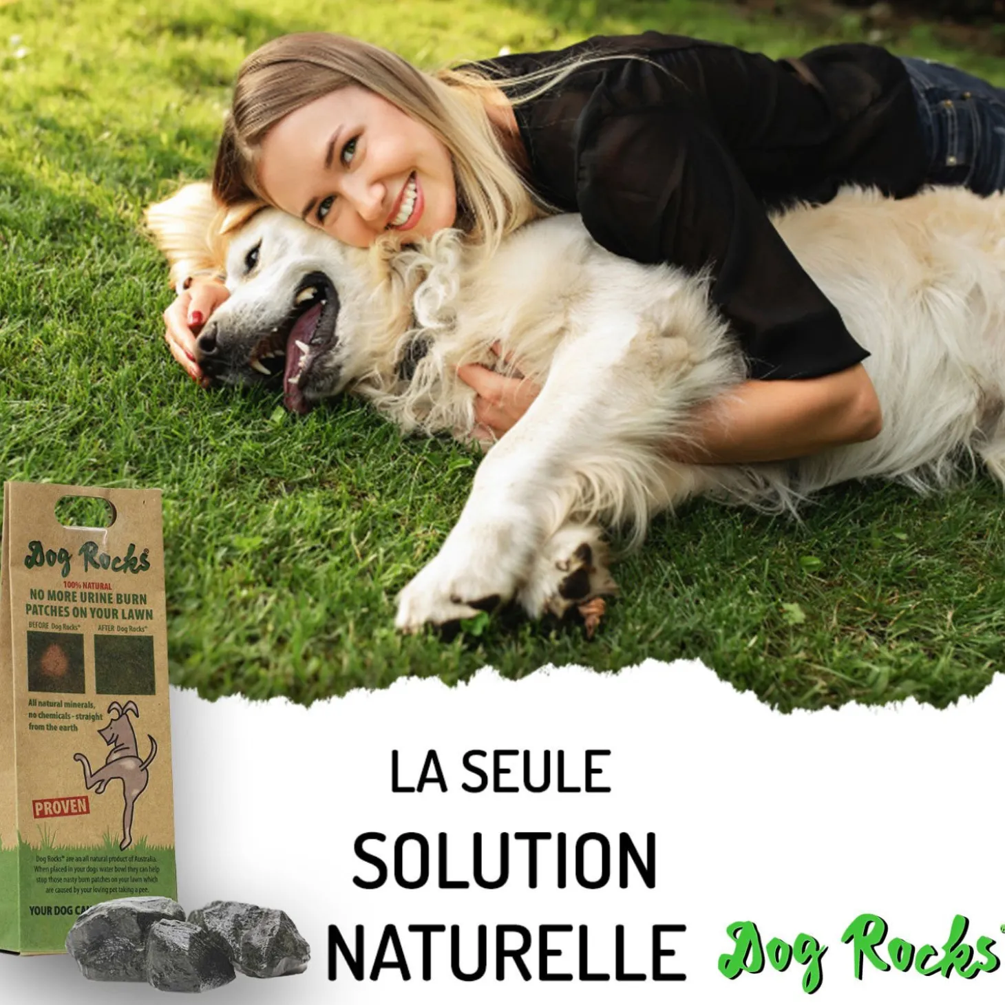 Natural rocks for water bowl