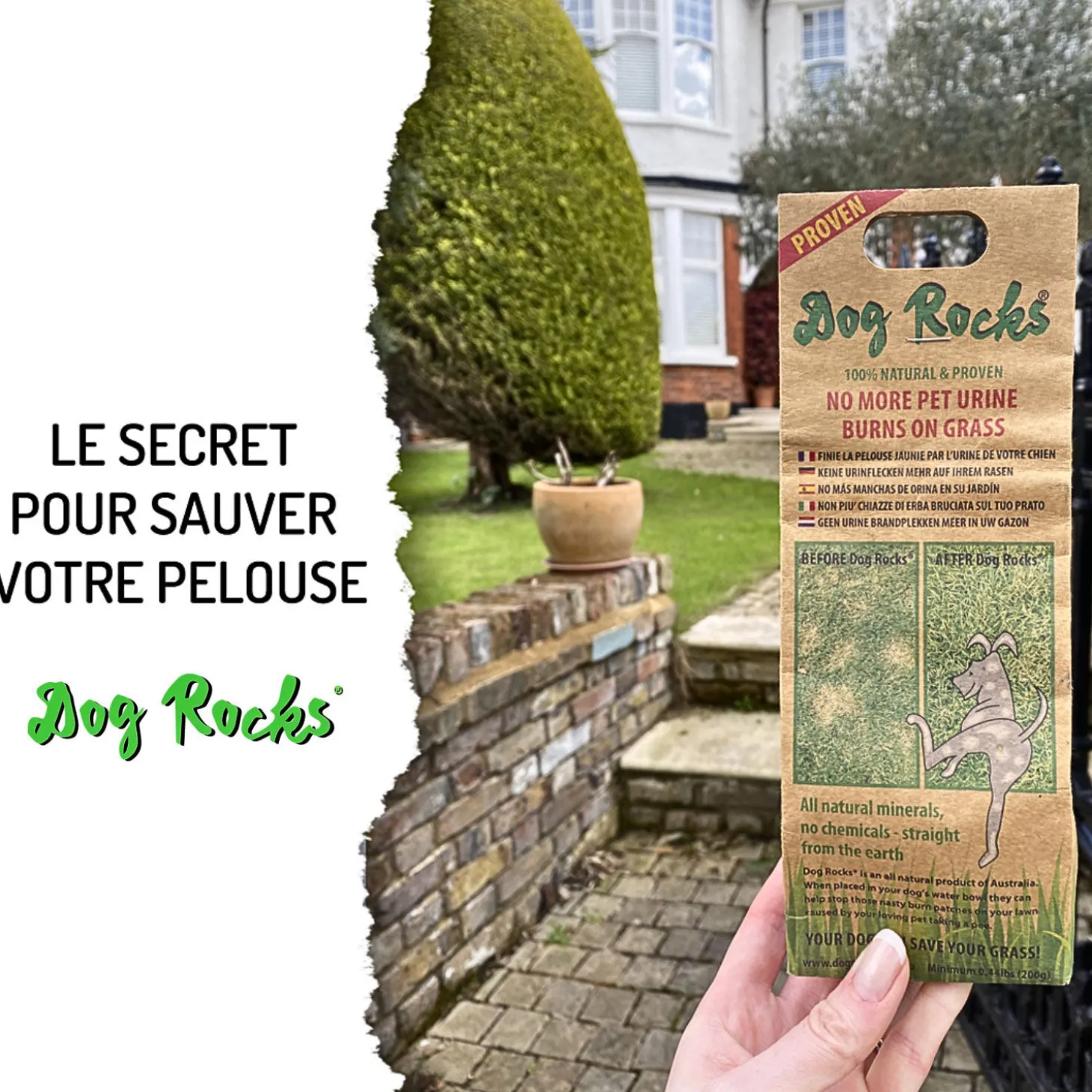 Natural rocks for water bowl