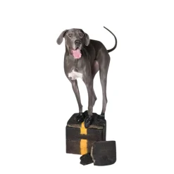 Natural Rubber Waterproof Dog Boots, L