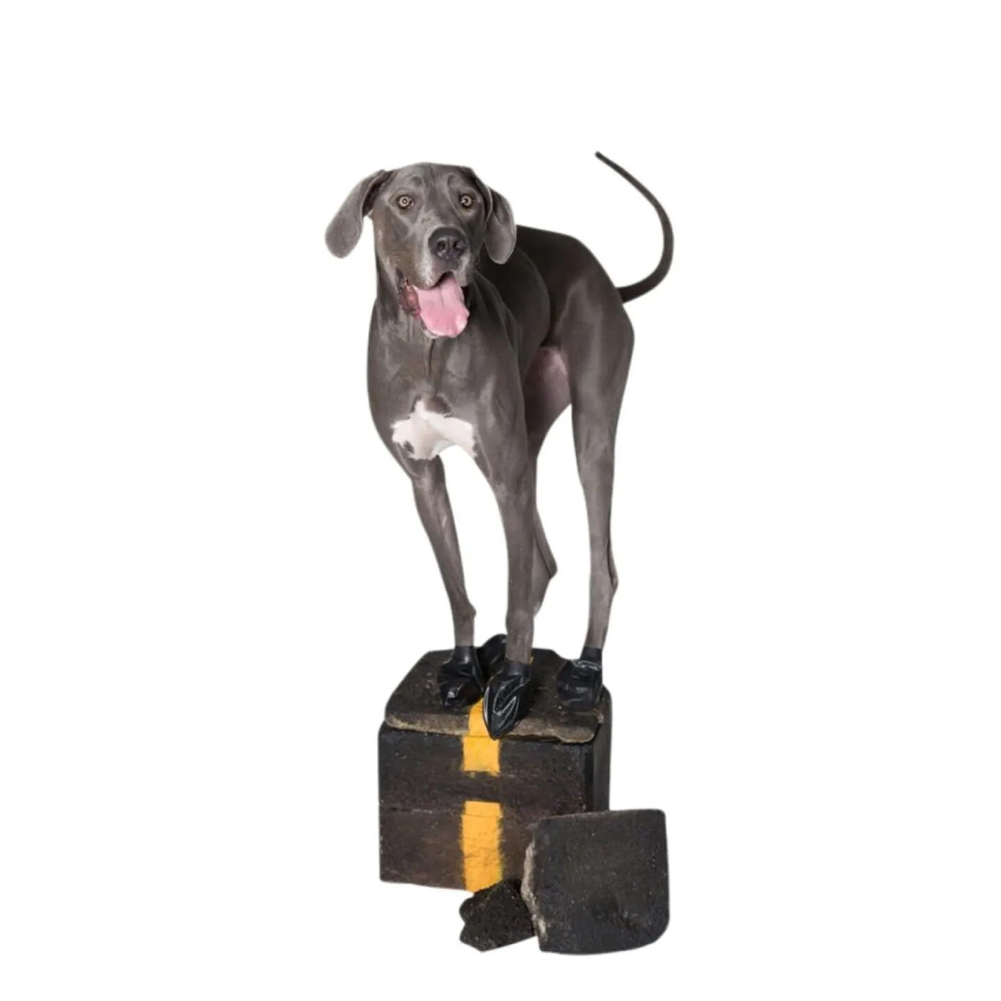 Natural Rubber Waterproof Dog Boots, S