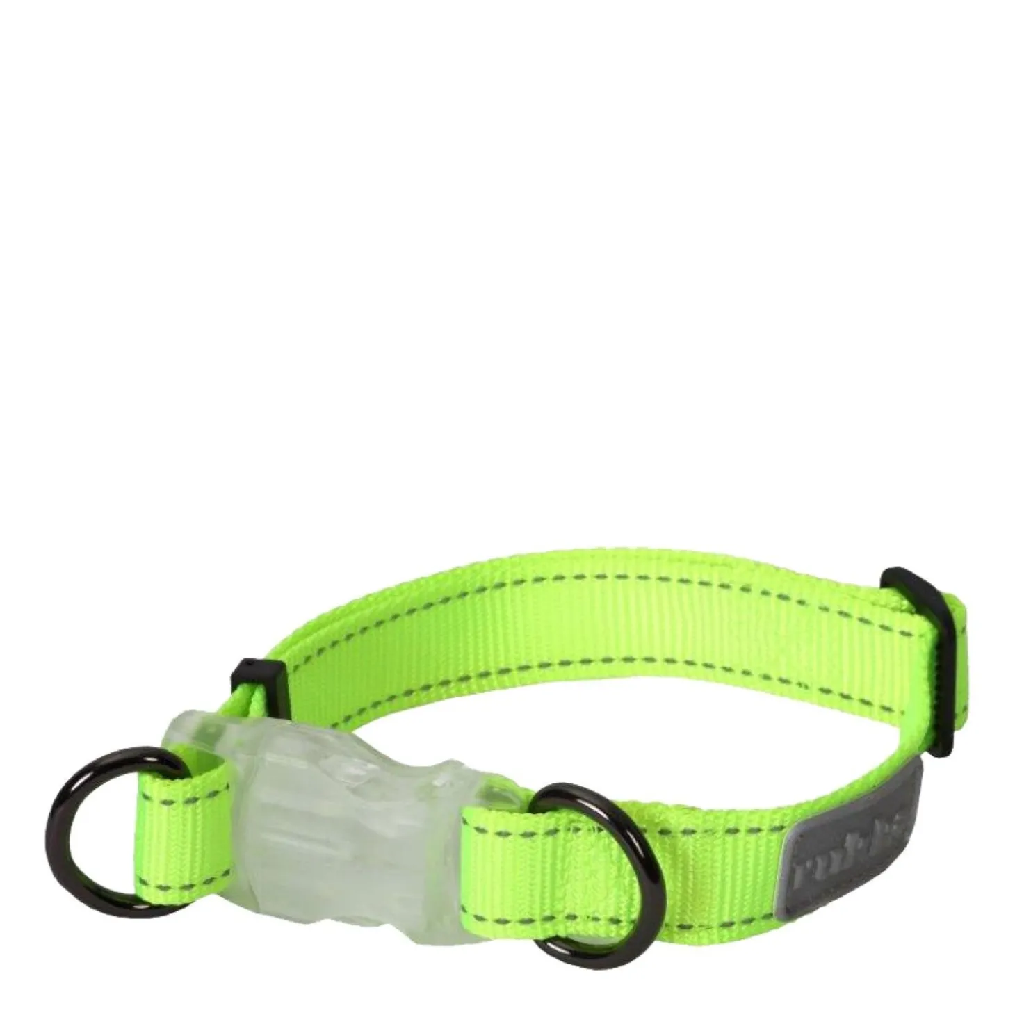 Neon Light dog collar