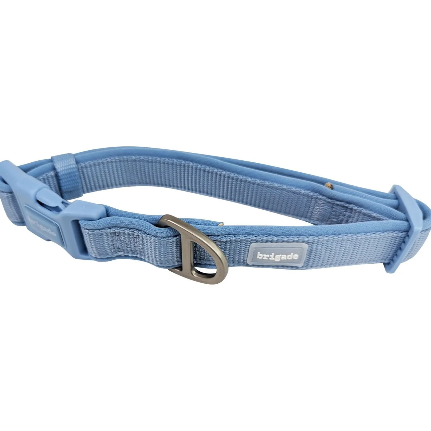 Neoprene Collar for Dogs, Icy Blue