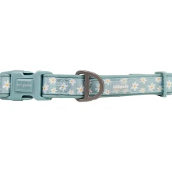Neoprene Collar for Dogs, Summer Daisies