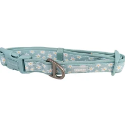 Neoprene Collar for Dogs, Summer Daisies