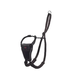 No Pull Harness for Dogs