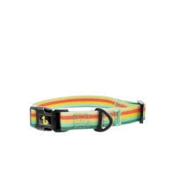 Nomad Silicone Dog Collar