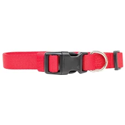 Nylon Collar for Dogs