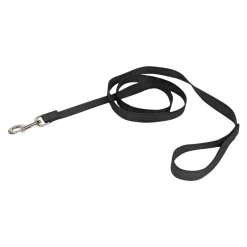 Nylon Leash for Dogs