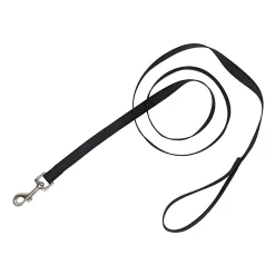 Nylon Leash for Dogs