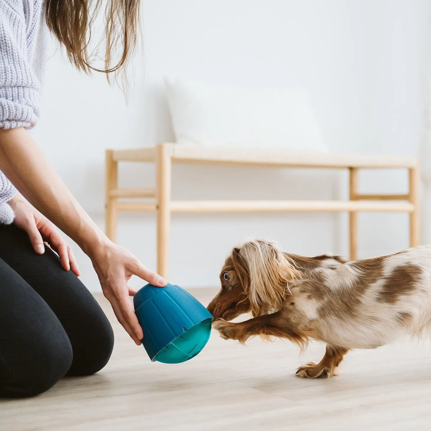 OBEE! Snak Toy for Dogs