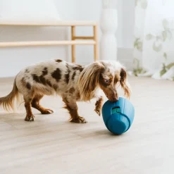 OBEE! Snak Toy for Dogs