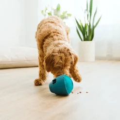 OBEE! Snak Toy for Dogs
