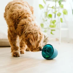 OBEE! Snak Toy for Dogs