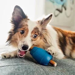 OBEE! Stuff Toy for Dogs