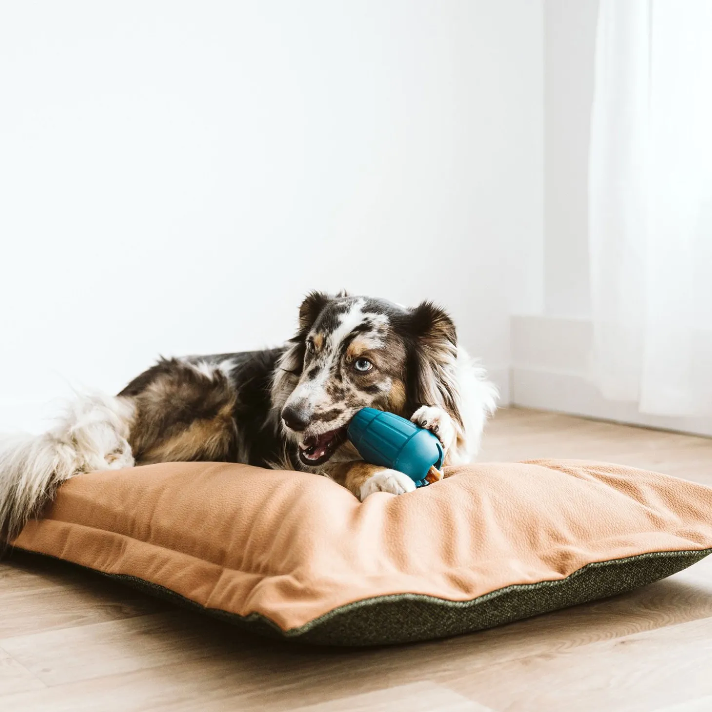 OBEE! Stuff Toy for Dogs