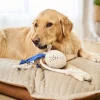 Octopus Rope Toy for Dogs