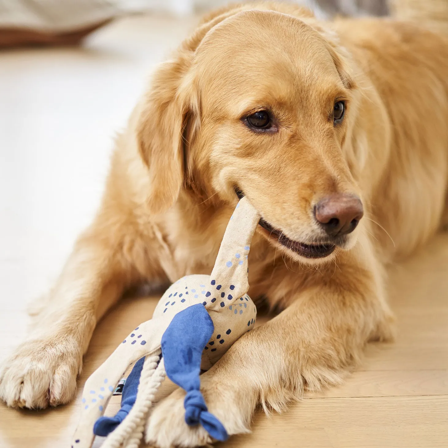 Octopus Rope Toy for Dogs