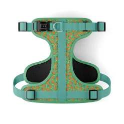 Ollie Orange Adjustable Dog Harness