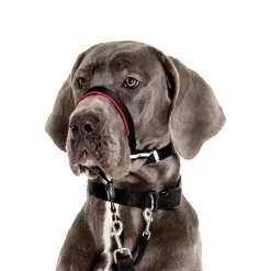 Optifit headcollar