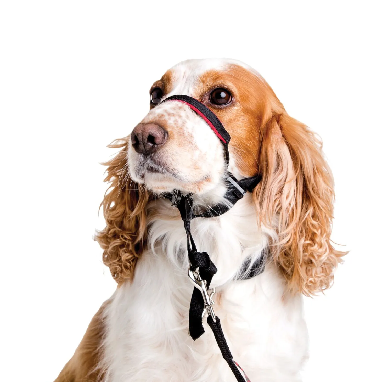 Optifit headcollar