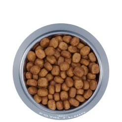 Oral care formula for adult cats