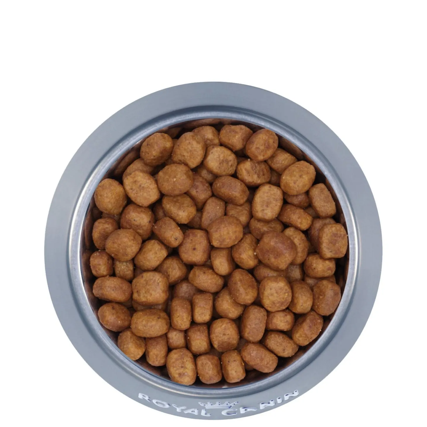 Oral care formula for adult cats