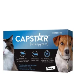 Oral Flea Treatment for Small Dogs and Cats, 1 - 11 kg, 6 pack