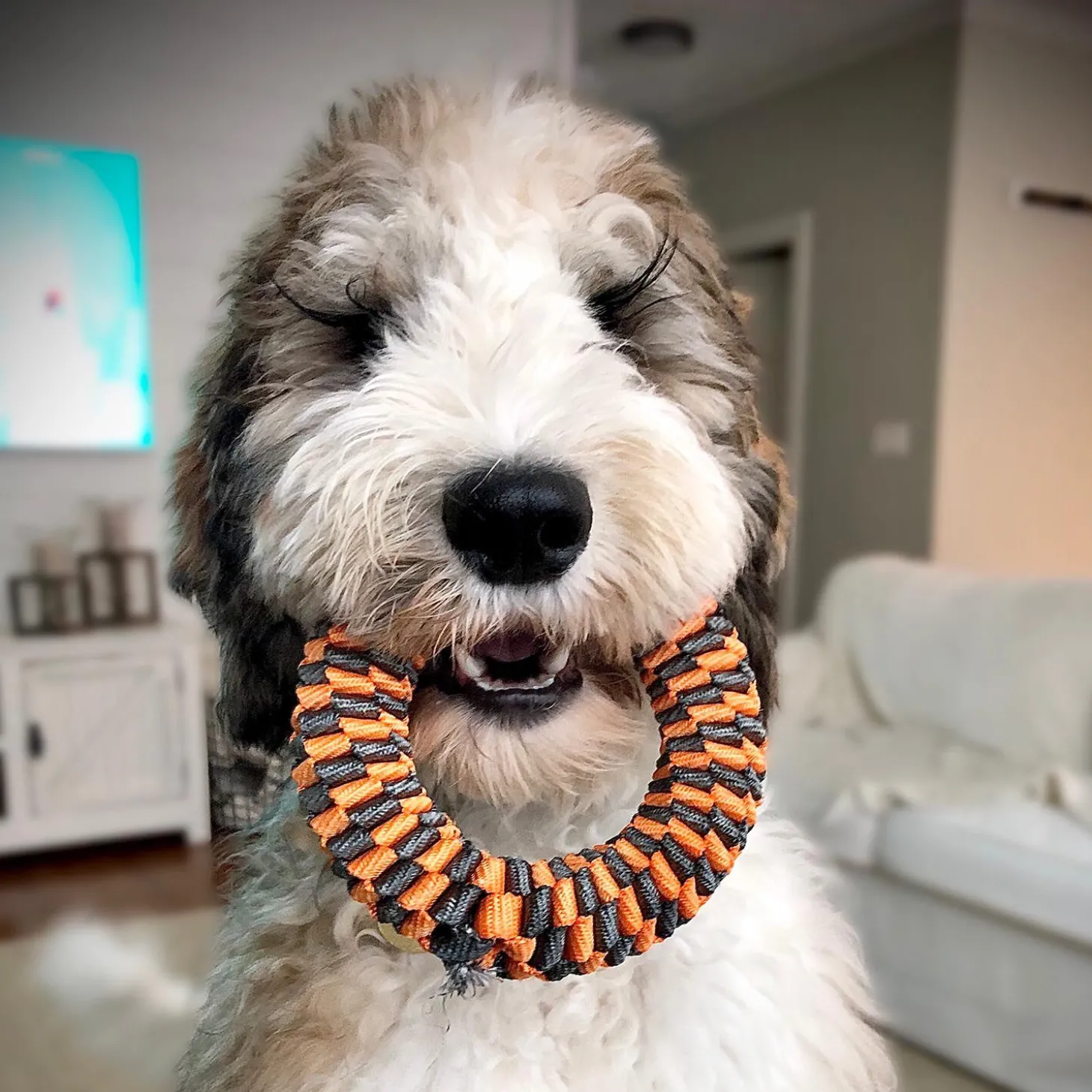 Orange Braided Ring Dog Toy