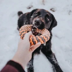 Orange Braided Ring Dog Toy