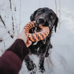 Orange Braided Ring Dog Toy