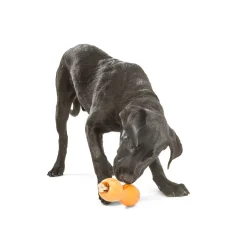 Orange Qwizl Treat Stick Dispenser Toy