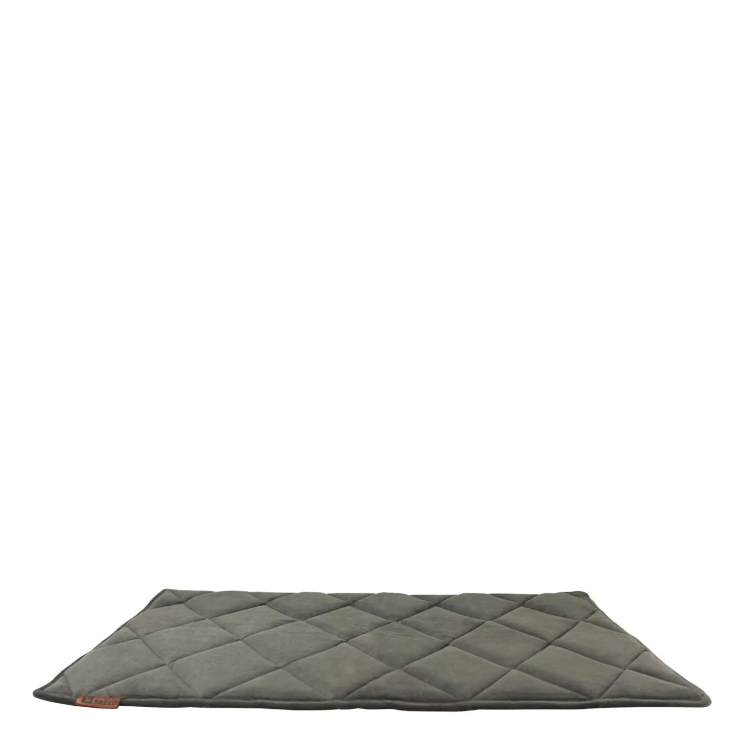 Orthopedic and Reversible Cage Bed, L