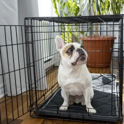 Orthopedic and Reversible Cage Bed, S