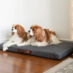 Orthopedic Hybrid Bed, L