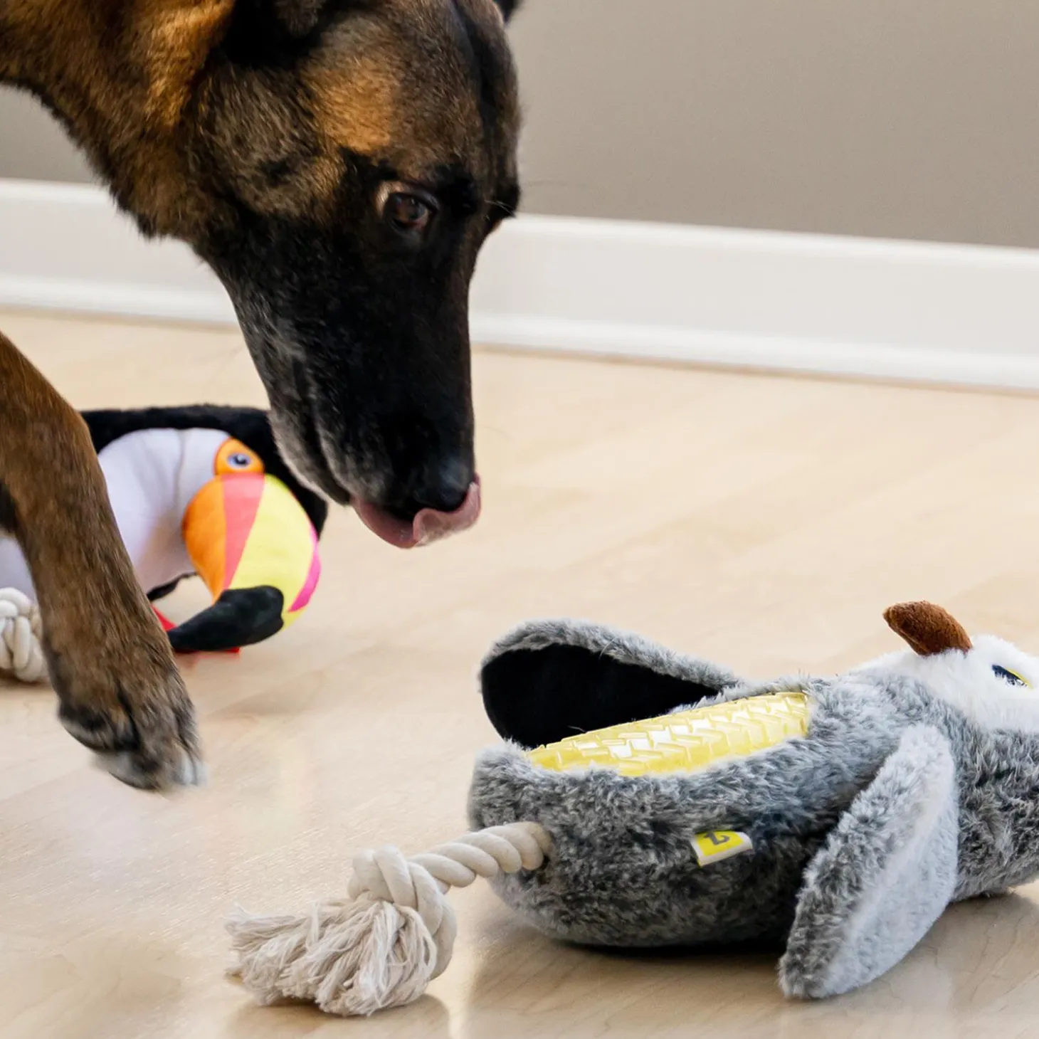 Owl Plush Dog Toy